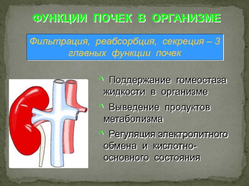 Выведение из организма продуктов обмена веществ