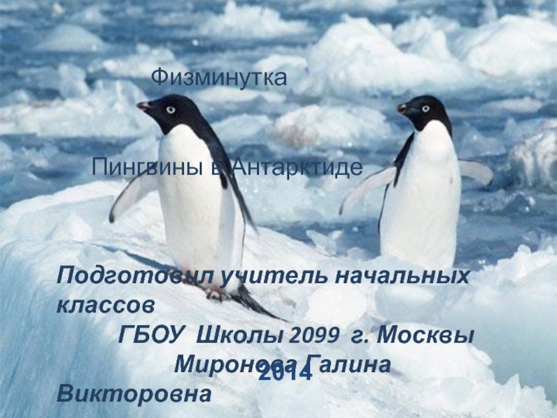 Презентация Физминутка
Пингвины в Антарктиде
Подготовил учитель начальных классов
ГБОУ