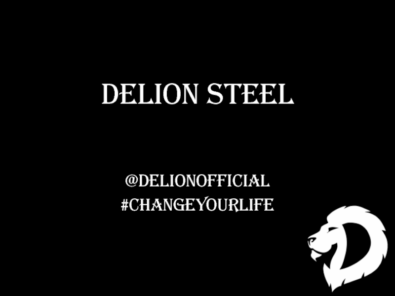DeLion Steel