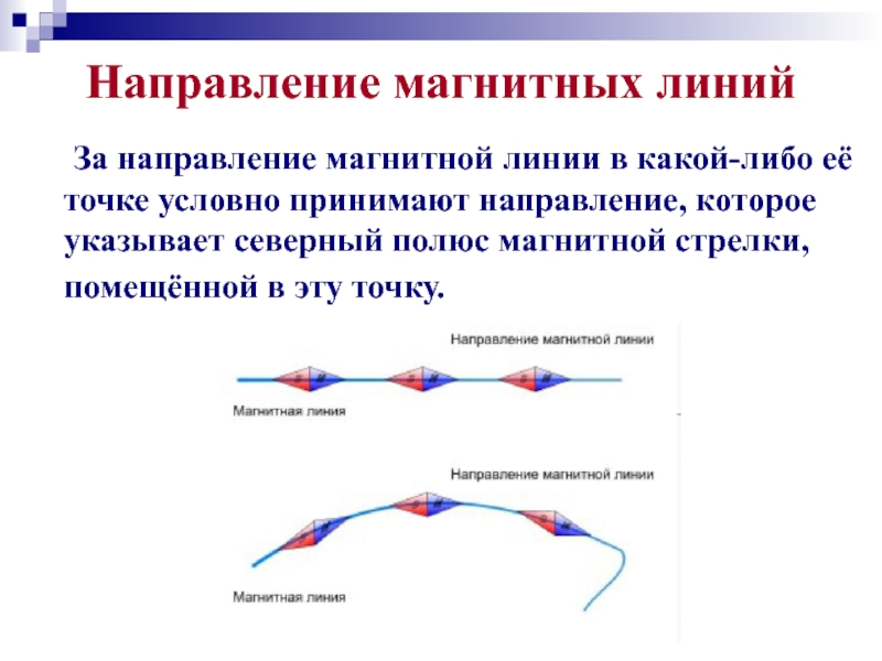 Направление магнитных линий   За направление магнитной линии в какой-либо её точке условно принимают направление, которое
