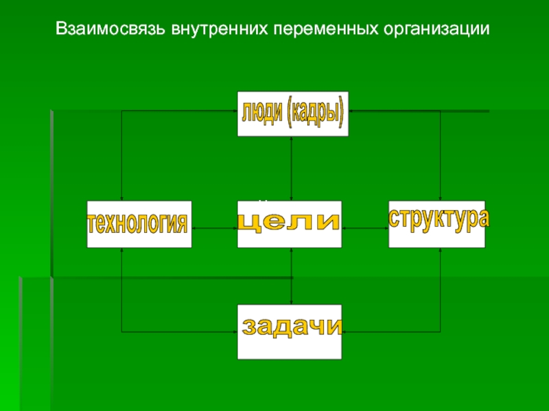 2 организация. Взаимосвязь внутренних переменных. Взаимосвязь внутренних переменных организации. Взаимосвязанность внутренних переменных. Выявите взаимосвязь внутренних переменных.