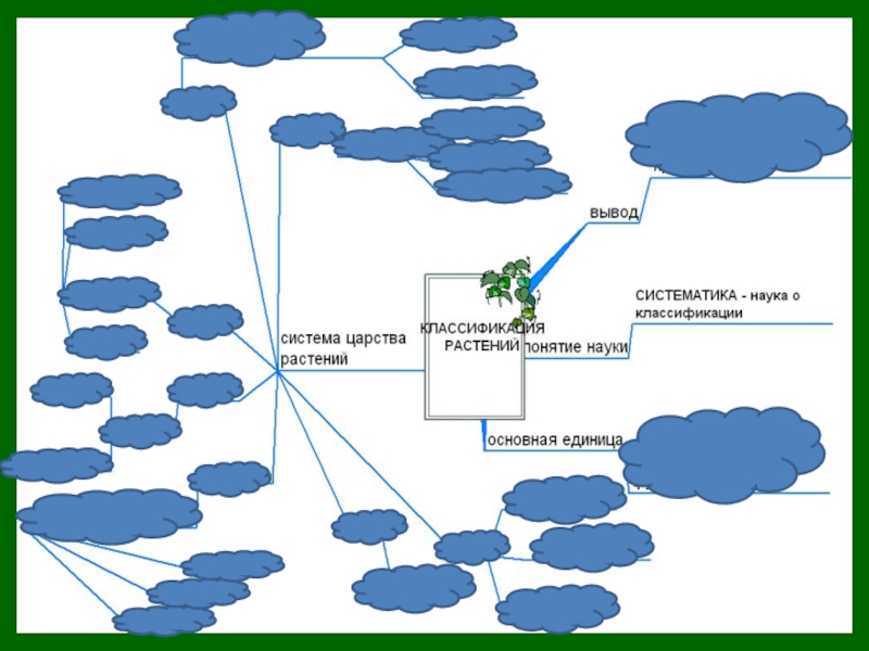 Классификация растений презентация 6 класс - 82 фото