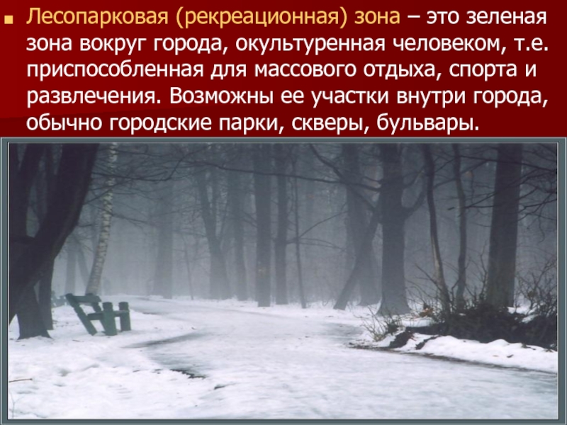 Влияние города зоны. Лесопарковая зона. Влияние городской среды на здоровье человека. Лесопарковые зеленые пояса. Действует ли зеленая зона зимой.