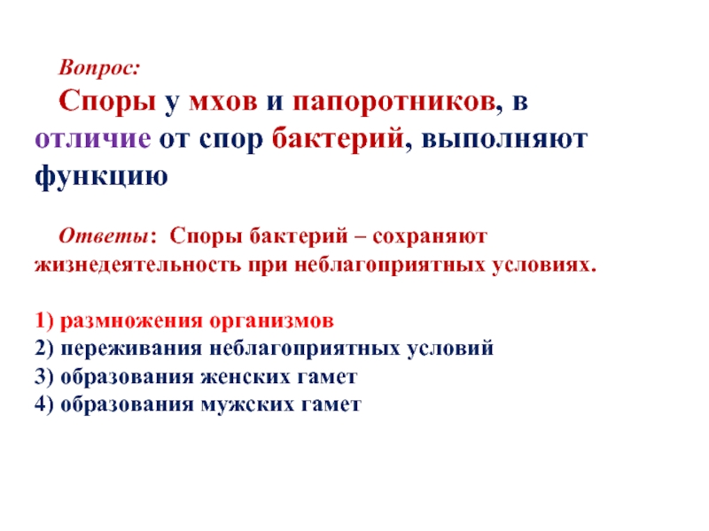 В отличие от папоротников. Отличие спор от бактерий. Отличие папоротников от мхов. Отличие споры от бактерии. Вопросы для диспута.