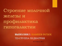 Строение молочной железы и профилактика гипогалактии