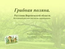 Грибная поляна. Растения Воронежской области. Поэтапная схема рисования
