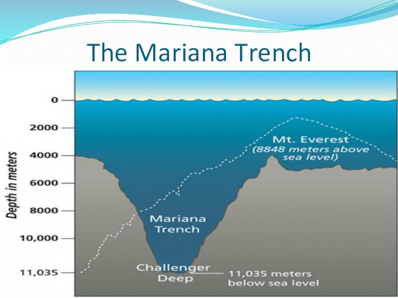 Марианская впадина. Mariana Trench. Марианская впадина на английском. Макет Марианской впадины.