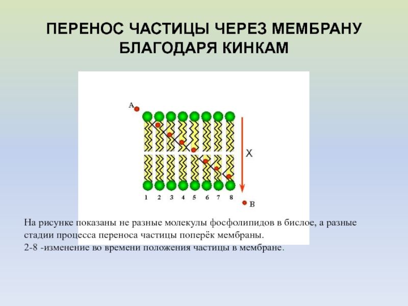 Переносимые частицы