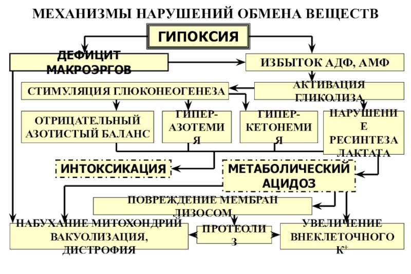 Нарушение обмена веществ у мужчин