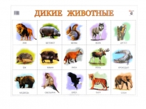 Животные * Animals