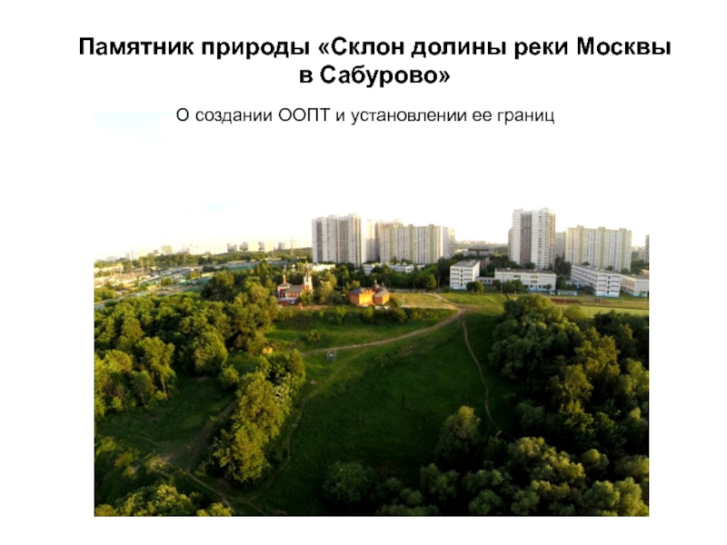 Презентация Памятник природы Склон долины реки Москвы в Сабурово