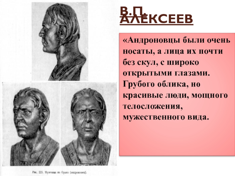 В.П. Алексеев«Андроновцы были очень носаты, а лица их почти без скул, с широко открытыми глазами. Грубого облика,