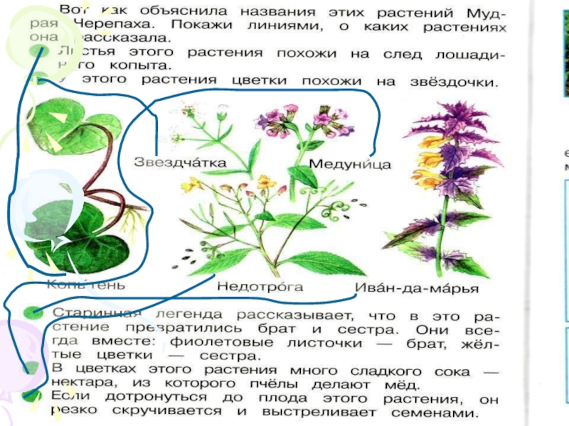 Почему для первого класса