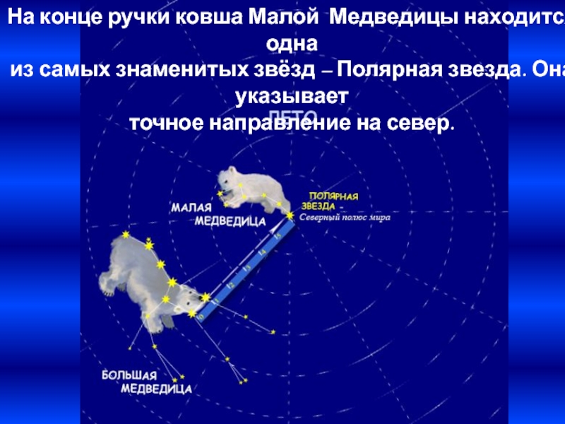 Рассказ о полярной звезде. Большая и малая Медведица Полярная звезда. Звезда на конце ручки ковша малой медведицы.