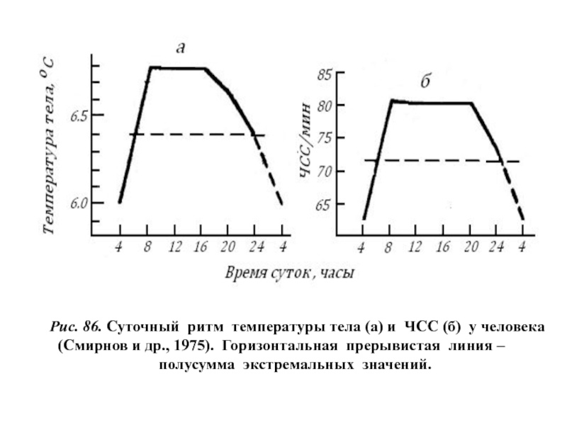 График температуры человека в течении суток. Суточный ритм температуры тела. Суточный график температуры тела. Циркадные ритмы температуры тела.