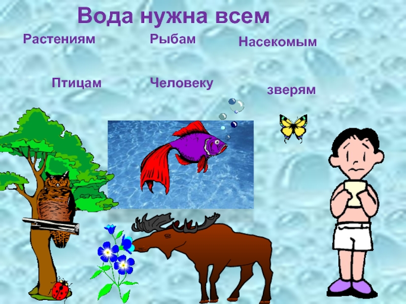 Растения животные человек это. Зачем нужна вода. Вода в жизни человека для дошкольников. Зачем нужна вода человеку. Кому нужна вода картинки.