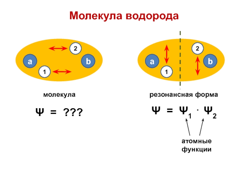 Водородный заряд. Молекула водорода. Волновая функция молекулы водорода. Форма молекулы водорода. 1 Молекула водорода.