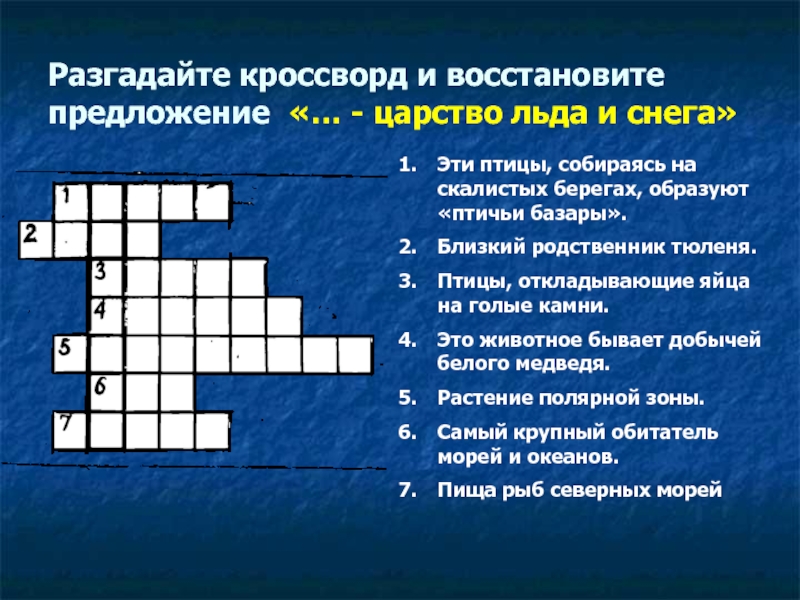 Снежные кроссворды ответы. Кроссворд на тему Арктика. Вопросы про Арктику. Кроссворд на тему царство животных. Эти птицы собираясь на скалистых берегах образуют птичьи базары.