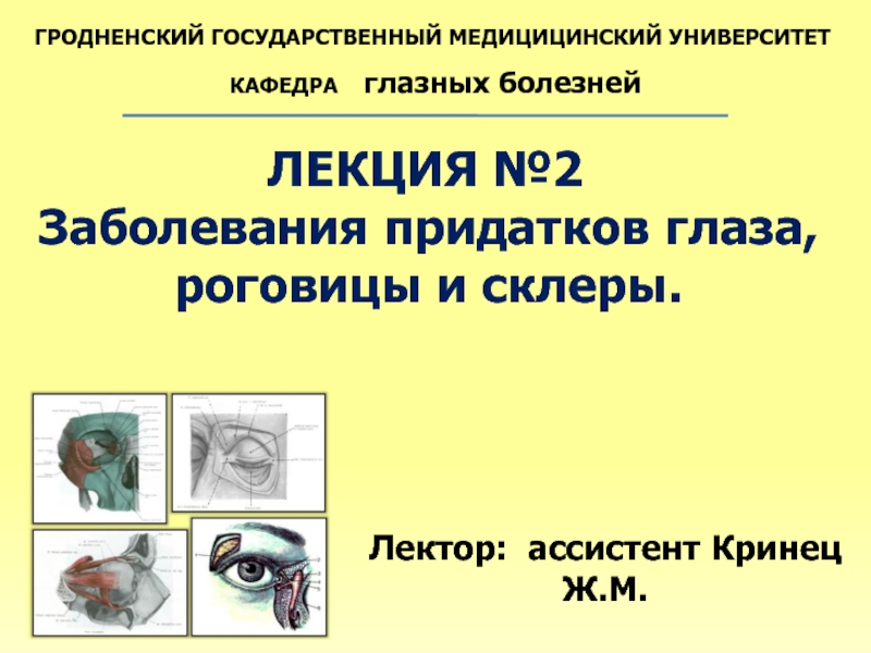 Заболевания придатков глаза, роговицы и склеры
