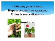 Презентация 6 сынып  Тамыр ж?не тамыр ж?йесі