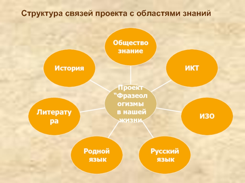 Структура связей проекта с областями знаний