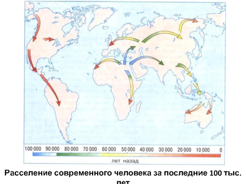 Распространение людей на земле сообщение. Карта расселения хомо сапиенс. Карта миграции древних людей. Расселение древних людей по земле. Карта расселения людей по земле.
