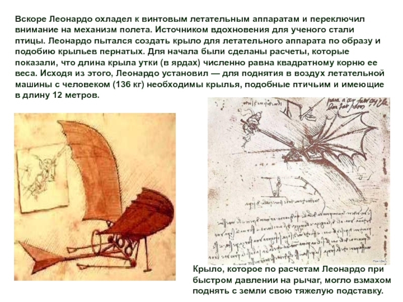 Когда леонардо да винчи сидел над чертежами сочинение