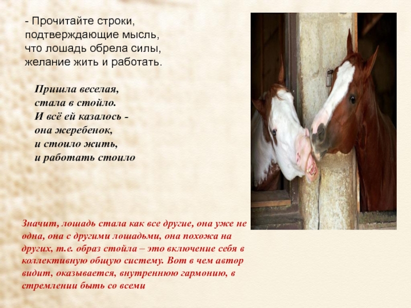Притча о лошади. Стихи про лошадей. Стих про коня. Стихотворение про лошадь. Стихи про коня красивые.