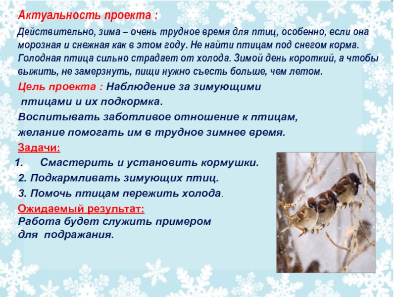 Как помочь животным в зимнее время 2. Актуальность помощи птицам зимой. Проект как помочь животным зимой. Как помочь животным в зимнее время. Как помочь животным зимой 2 класс.