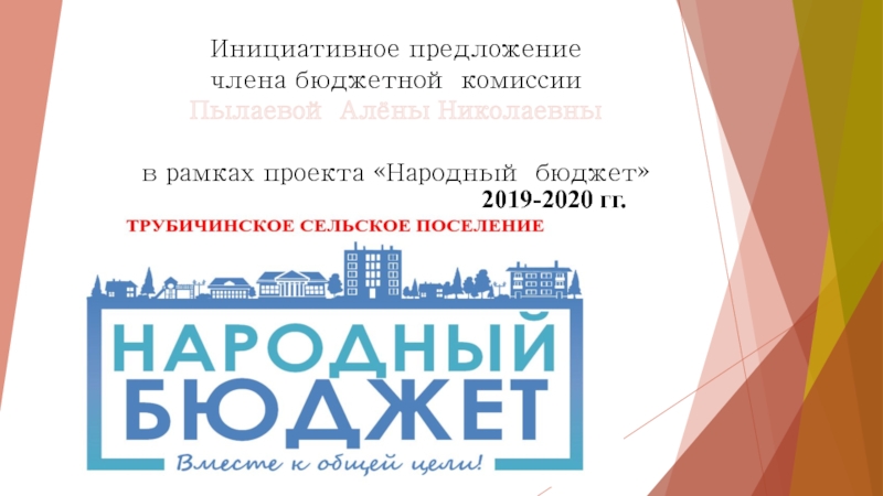Инициативное предложение члена бюджетной комиссии Пылаевой Алёны Николаевны в