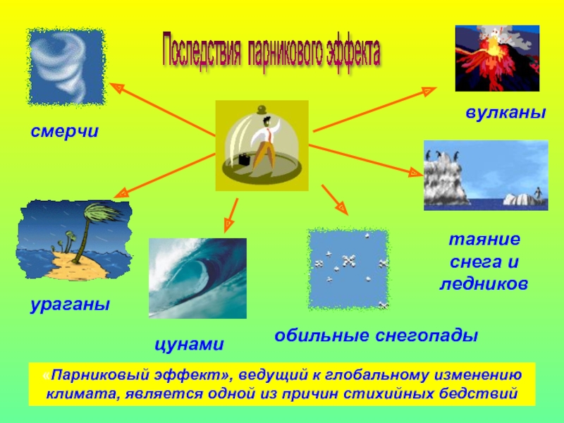 Влияние изменения климата на живую природу проект