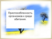 Приспособленность организмов к среде обитания.