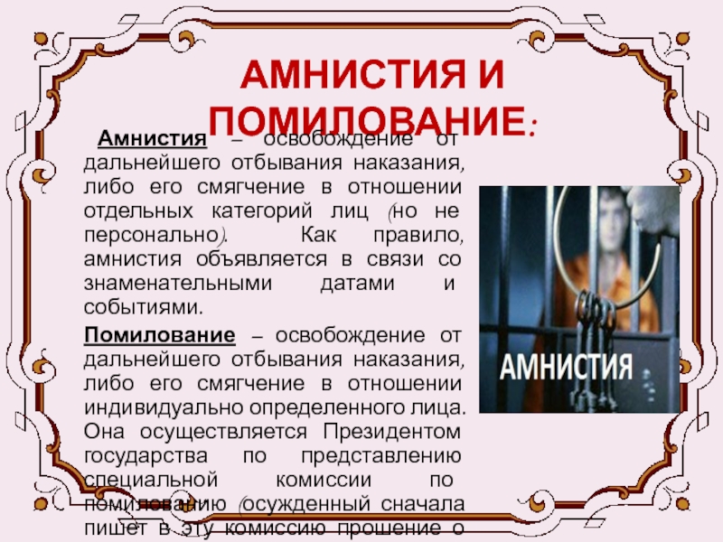 Амнистия доклад