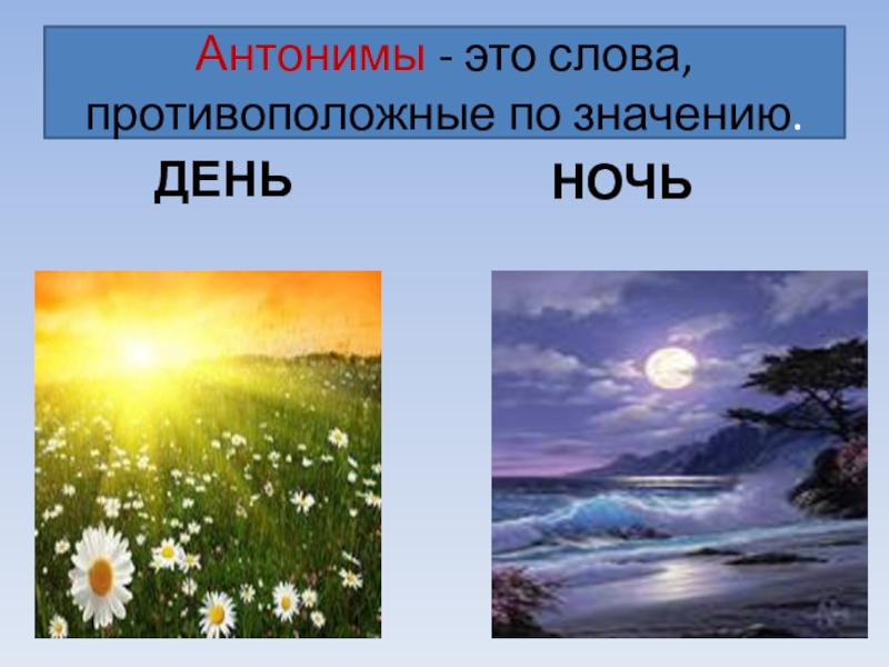 Лето противоположное слово. Антонимы день ночь. Противоположность день ночь. День противоположности. Слова антонимы.