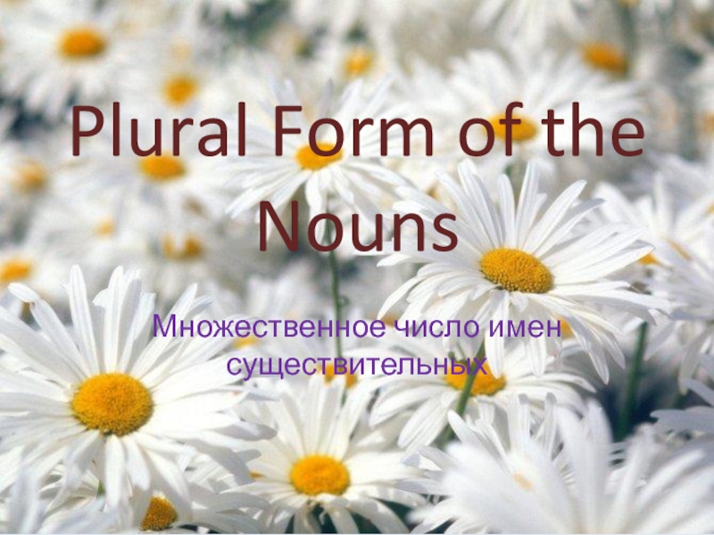 Plural Form of the Nouns