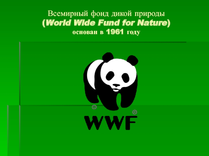 Всемирный фонд дикой природы презентация