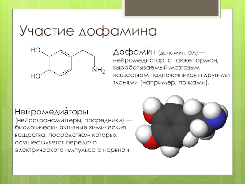 Презентация про дофамин