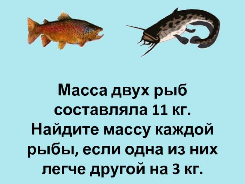 На каждую рыбу. На каждую рыбку найдется рыбка по. Почему рыбы с каждым годом меньше. Как найти массу рыбы. Рыба всякая нужна рыба всякая важна.