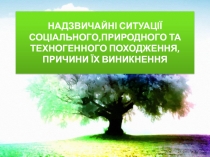 Надзвичайні ситуації соціального,природного та техногенного походження,причини