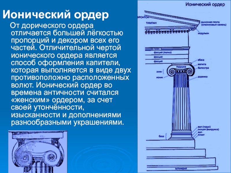 Ордер является. Ионический ордер капители храм Артемиды. Ионический ордер аттический вариант. Малоазийский и аттический ионический ордер. Балюстра ионический ордер.