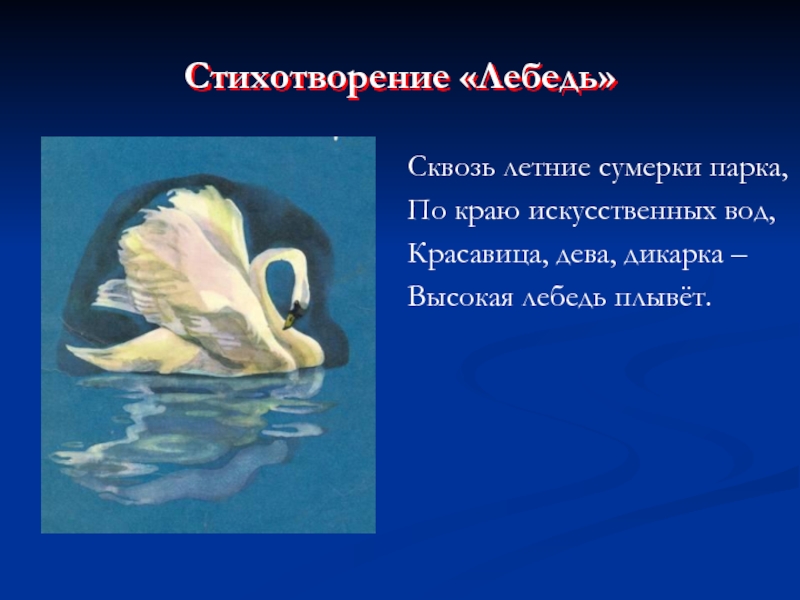 Стихотворение «Лебедь»Сквозь летние сумерки парка,По краю искусственных вод,Красавица, дева, дикарка –Высокая лебедь плывёт.