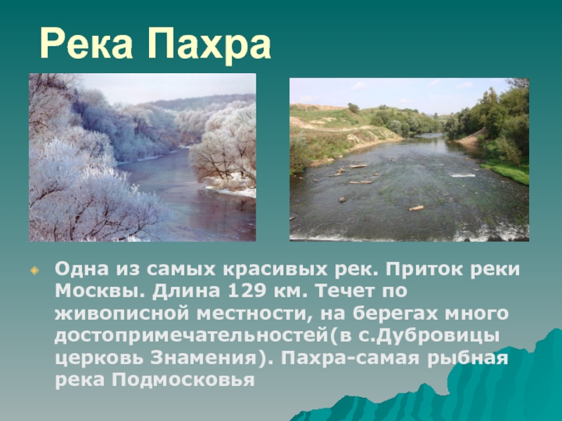 Река ПахраОдна из самых красивых рек. Приток реки Москвы. Длина 129 км. Течет по живописной местности, на