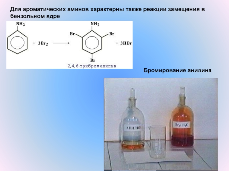 Ароматические амины презентация