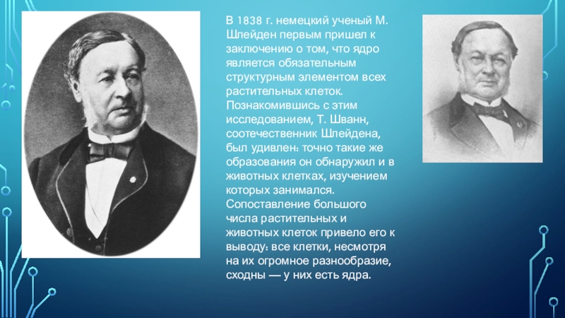 Немецкие ученые. Немецкий физик Шванн. М Шлейдена материалы к филогенезу. В 1838 году немецкие ученые.