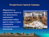 Осадочные горные породы