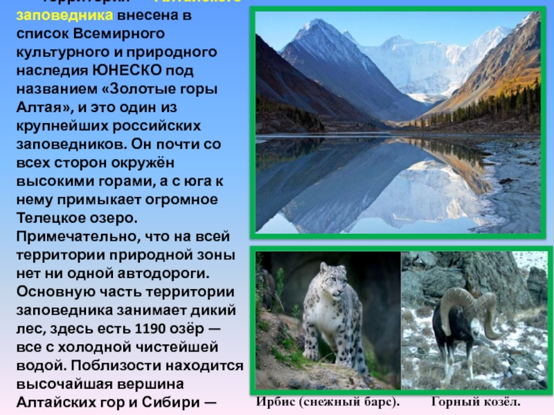 Территория    Алтайского заповедника внесена в список Всемирного культурного и природного