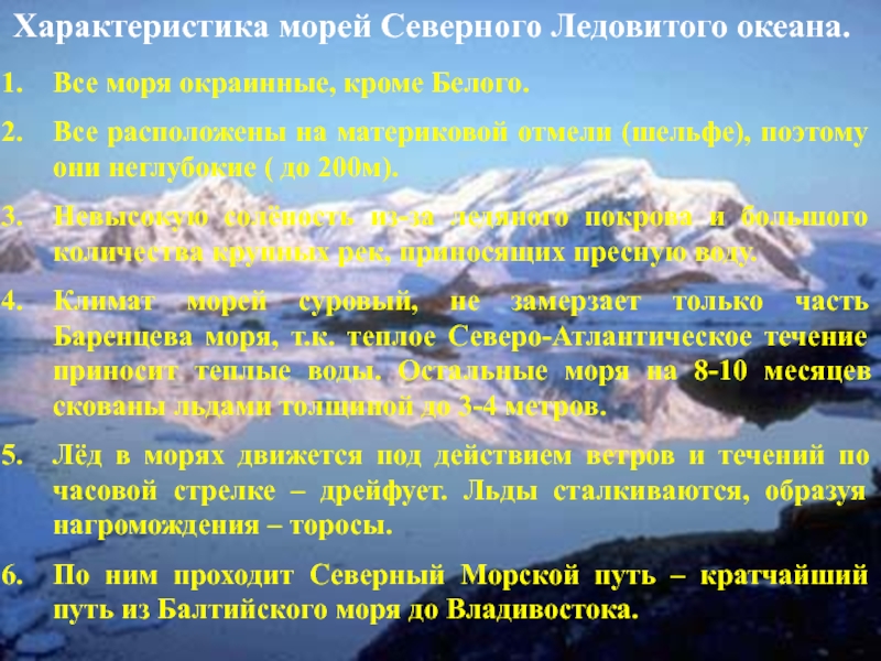 Моря омывающие россию 8 класс география презентация