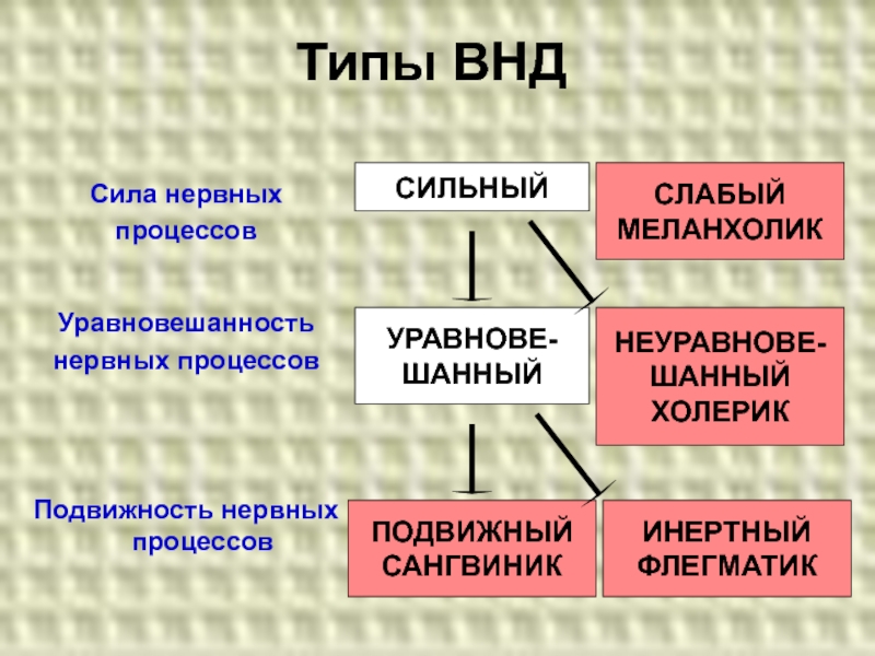 Внд меланхолик. Типы высшей нервной деятельности физиология. Нарушение высшей нервной деятельности. Типы ВНД человека физиология. Классификация патологии высшей нервной деятельности..