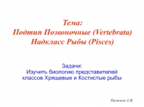 Пименов А.В.
Тема: Подтип Позвоночные (Vertebrata) Надкласс Рыбы