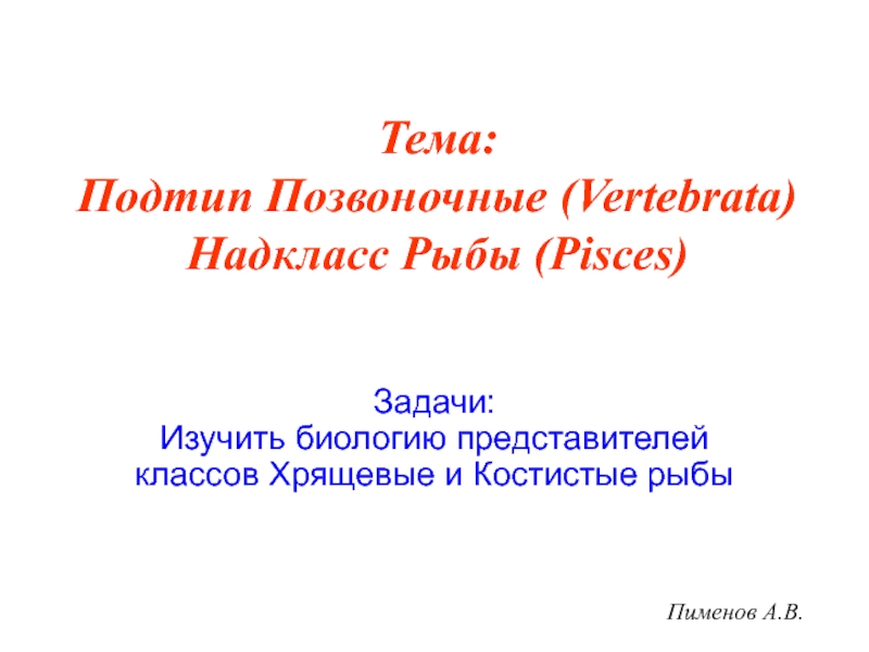 Презентация Пименов А.В.
Тема: Подтип Позвоночные (Vertebrata) Надкласс Рыбы